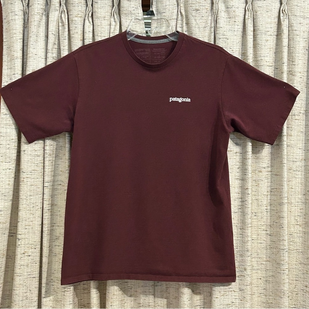 Patagonia Men's Fitz Roy Horizons Responsibili Tee - Medium